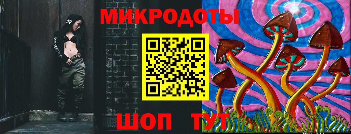 Галлюциногенные грибы Psilocybine cubensis Саров